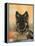 Domestic Dog, German Shepherd Alsatian Juvenile. 5 Months Old, with Rawhide Bone-Petra Wegner-Framed Premier Image Canvas