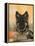 Domestic Dog, German Shepherd Alsatian Juvenile. 5 Months Old, with Rawhide Bone-Petra Wegner-Framed Premier Image Canvas