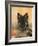 Domestic Dog, German Shepherd Alsatian Juvenile. 5 Months Old, with Rawhide Bone-Petra Wegner-Framed Photographic Print