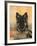 Domestic Dog, German Shepherd Alsatian Juvenile. 5 Months Old, with Rawhide Bone-Petra Wegner-Framed Photographic Print