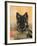 Domestic Dog, German Shepherd Alsatian Juvenile. 5 Months Old, with Rawhide Bone-Petra Wegner-Framed Photographic Print