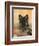 Domestic Dog, German Shepherd Alsatian Juvenile. 5 Months Old, with Rawhide Bone-Petra Wegner-Framed Photographic Print