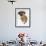 Domestic Dog, Rhodesian Ridgeback Looking Up-Petra Wegner-Framed Photographic Print displayed on a wall