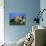 Domestic Dog, Welsh Terrier with Puppy, 7 Weeks-Petra Wegner-Photographic Print displayed on a wall