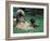 Domestic Dogs, Afghan Hound Lying on Grass with Puppy-Adriano Bacchella-Framed Photographic Print