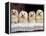 Domestic Dogs, Four Maltese Dogs Sitting in a Row, All with Bows in Their Hair-Adriano Bacchella-Framed Premier Image Canvas