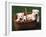 Domestic Dogs, Four West Highland Terrier / Westie Puppies in a Basket-Adriano Bacchella-Framed Photographic Print