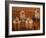 Domestic Dogs, Four Yorkshire Terriers on a Table with Hair Tied up and Very Long Hair-Adriano Bacchella-Framed Photographic Print