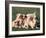 Domestic Dogs, Group of Eight Pyrenean Mountain Dog Puppies-Adriano Bacchella-Framed Photographic Print