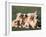 Domestic Dogs, Group of Eight Pyrenean Mountain Dog Puppies-Adriano Bacchella-Framed Photographic Print