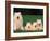 Domestic Dogs, Samoyed Family Panting and Resting on Grass-Adriano Bacchella-Framed Photographic Print