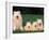 Domestic Dogs, Samoyed Family Panting and Resting on Grass-Adriano Bacchella-Framed Photographic Print