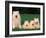 Domestic Dogs, Samoyed Family Panting and Resting on Grass-Adriano Bacchella-Framed Photographic Print