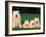 Domestic Dogs, Samoyed Family Panting and Resting on Grass-Adriano Bacchella-Framed Photographic Print