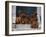 Domestic Dogs, Seven Rhodesian Ridgeback Puppies Sitting on Steps-Adriano Bacchella-Framed Photographic Print