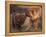 Domestic Dogs, Shar Pei Puppy and Parent Touching Noses-Adriano Bacchella-Framed Premier Image Canvas