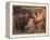 Domestic Dogs, Shar Pei Puppy and Parent Touching Noses-Adriano Bacchella-Framed Premier Image Canvas