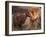 Domestic Dogs, Shar Pei Puppy and Parent Touching Noses-Adriano Bacchella-Framed Photographic Print