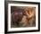 Domestic Dogs, Shar Pei Puppy and Parent Touching Noses-Adriano Bacchella-Framed Photographic Print