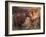 Domestic Dogs, Shar Pei Puppy and Parent Touching Noses-Adriano Bacchella-Framed Photographic Print