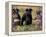 Domestic Dogs, Three Miniature Schnauzers on Leads-Adriano Bacchella-Framed Premier Image Canvas