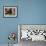 Domestic Dogs, Three Miniature Schnauzers on Leads-Adriano Bacchella-Framed Photographic Print displayed on a wall