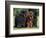 Domestic Dogs, Three Newfoundland Dogs Standing Together-Adriano Bacchella-Framed Premium Photographic Print