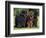 Domestic Dogs, Three Newfoundland Dogs Standing Together-Adriano Bacchella-Framed Premium Photographic Print