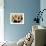 Domestic Dogs, Two King Charles Cavalier Spaniel Puppies in Pot-Adriano Bacchella-Framed Photographic Print displayed on a wall