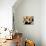 Domestic Dogs, Two King Charles Cavalier Spaniel Puppies in Pot-Adriano Bacchella-Mounted Photographic Print displayed on a wall
