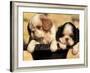 Domestic Dogs, Two King Charles Cavalier Spaniel Puppies in Pot-Adriano Bacchella-Framed Photographic Print