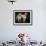 Domestic Dogs, Two Labrador Retrievers-Adriano Bacchella-Framed Photographic Print displayed on a wall