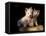 Domestic Dogs, Two West Highland Terrier / Westie Puppies Sitting Together-Adriano Bacchella-Framed Premier Image Canvas