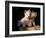 Domestic Dogs, Two West Highland Terrier / Westie Puppies Sitting Together-Adriano Bacchella-Framed Photographic Print