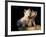 Domestic Dogs, Two West Highland Terrier / Westie Puppies Sitting Together-Adriano Bacchella-Framed Photographic Print