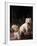 Domestic Dogs, Two West Highland Terriers / Westies, One Sitting on a Chair-Adriano Bacchella-Framed Photographic Print