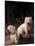 Domestic Dogs, Two West Highland Terriers / Westies, One Sitting on a Chair-Adriano Bacchella-Mounted Photographic Print
