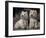 Domestic Dogs, Two West Highland Terriers / Westies Sitting Together-Adriano Bacchella-Framed Photographic Print