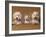 Domestic Dogs, Two West Highland Terriers / Westies with a Puppy-Adriano Bacchella-Framed Photographic Print