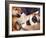 Domestic Dogs, Two Young Shiba Inus Playfighting-Adriano Bacchella-Framed Photographic Print