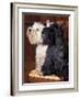 Domestic Dogs, West Highland Terrier / Westie Sitting on a Chair with a Black Scottish Terrier-Adriano Bacchella-Framed Photographic Print