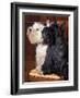 Domestic Dogs, West Highland Terrier / Westie Sitting on a Chair with a Black Scottish Terrier-Adriano Bacchella-Framed Photographic Print