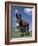 Domestic Donkey, Wisconsin, USA-Lynn M. Stone-Framed Photographic Print