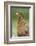 domestic fowl, Gallus gallus domesticus, hen, portrait, meadow, stand-David & Micha Sheldon-Framed Photographic Print