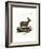 Domestic Goat-null-Framed Giclee Print