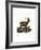 Domestic Goat-null-Framed Giclee Print