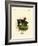 Domestic Goat-null-Framed Giclee Print