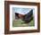 Domestic Hen Free Range, Scotland, UK-Pete Cairns-Framed Premium Photographic Print