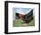 Domestic Hen Free Range, Scotland, UK-Pete Cairns-Framed Premium Photographic Print