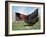 Domestic Hen Free Range, Scotland, UK-Pete Cairns-Framed Photographic Print